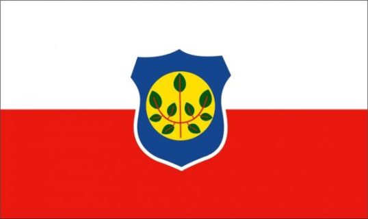 bandeira-cumaru-pe